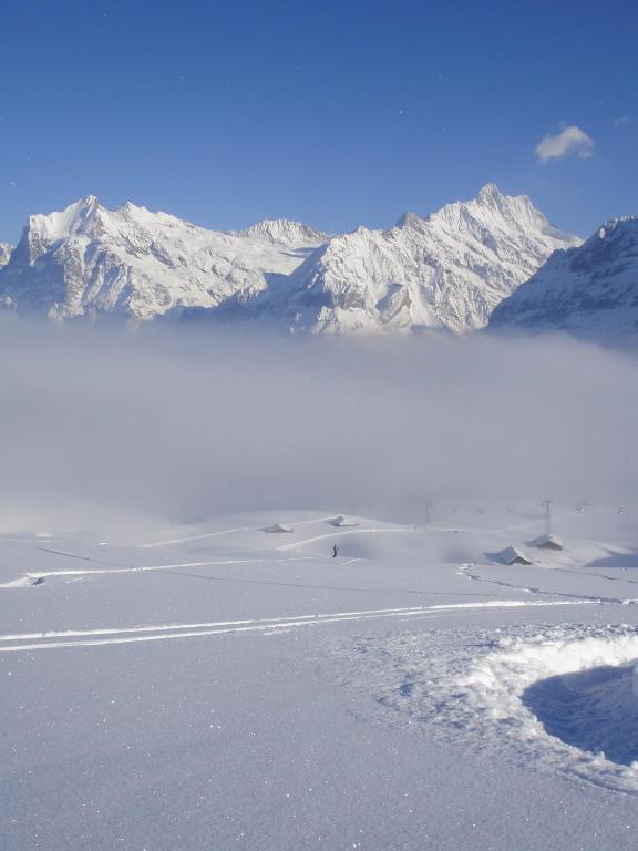 Chalet Asterix Grindelwald Exteriör bild