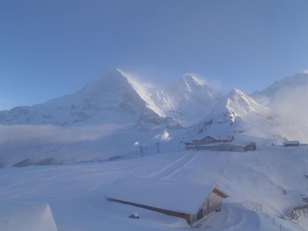 Chalet Asterix Grindelwald Exteriör bild