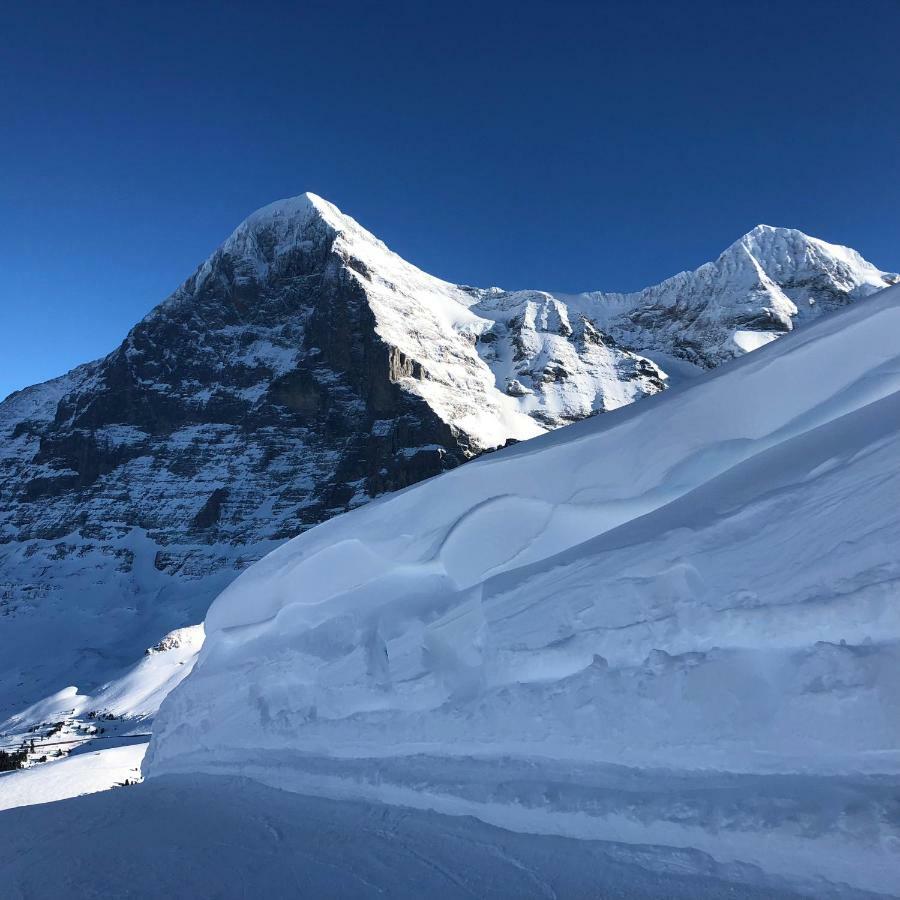 Chalet Asterix Grindelwald Exteriör bild